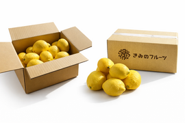 【国産レモン】和歌山県産 防カビ剤不使用・皮まで使えるレモン 10kg（家庭用）