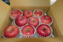 【サンふじ】ジューシーな須坂産家庭用サンふじリンゴ（約3キロ）