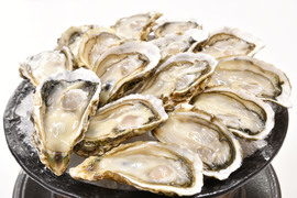 広島県産 夏季限定 生食用 殻付かき「宮島」ハーフシェル 9個入｜瀬戸内の清浄海域育ち 濃厚旨みと甘みの夏牡蠣【かなわ】