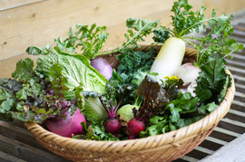 こだわり！ふるるの冬野菜セット10種程度・5㎏