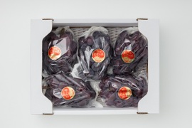 ハウスで栽培したニューピオーネ（2㎏以上）