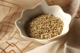 【数量限定】令和７年産はいごころ玄米5ｋｇ　プチプチした食感が楽しい個性派玄米