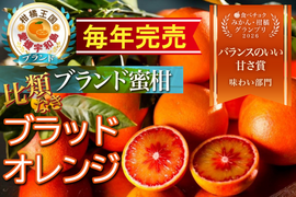 【食べチョクグランプリ受賞】見つけたら超ラッキー『幻の生ブラッドオレンジ』国産やみつきリピーター続出🍊傾斜35度の崖上で収穫される希少な宇和島ブランドみかん☆お得キャンペーン約3kg【3月上旬予約】