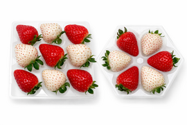 【食べ比べ】2色(赤・白)フラワー＆スクエア　160g×4箱セット