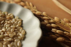 【数量限定】令和７年産はいごころ玄米1ｋｇ　プチプチした食感が楽しい個性派玄米