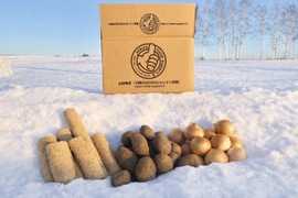 台所の定番3点セット🍲✨【カット長芋＋メークイン＋玉ねぎ】合計約5kg‼️