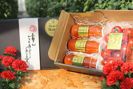 【母の日ギフト】フルーティーで芳醇なミニトマトと無添加トマトジュースのギフトセット
