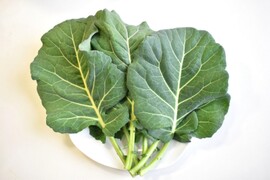 和らぎ農法　ケール（1袋）