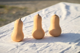 レシピ付き！バターナッツかぼちゃ(3kg)