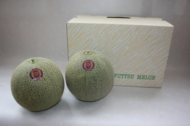 【夏ギフト】甘さスッキリ！ 千葉県富津市産タカミメロン 1.2～1.5kg/個 ×2個入り