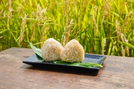 【令和7年】特別栽培米ミルキークイーン　玄米5kg