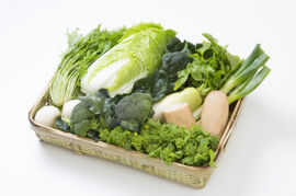 旬のおまかせ野菜セット[Lサイズ]