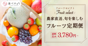 【12月受付開始!】厳選フルーツをおまかせでお届け🍓1回から試せる!「食べチョクフルーツセレクト」