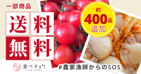 ※終了しました※【送料無料プログラム】対象商品が約400品追加されました!