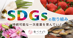 【7つの特集をご紹介!食材使い切りレシピも!】生産者さんによるSDGsの取り組み