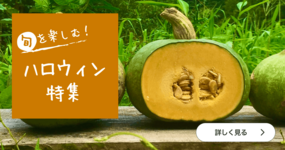 旬の食材で楽しむ♪〜ハロウィン特集🎃〜