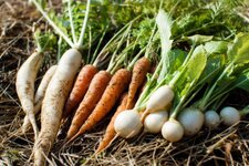 東京都内の直接お取り寄せできる生産者さん特集📣