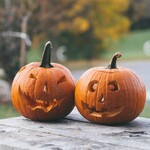 ハロウィンのスイーツにぴったり!ちょっと変わったかぼちゃを楽しむ
