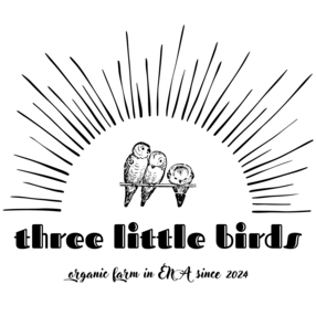 three little birds