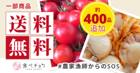 【送料無料プログラム】対象商品が約400品追加されました!