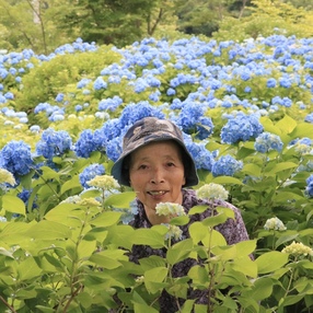 みちこBlueberry Garden