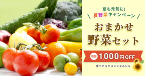 【初回1,000円オフ】新鮮なこだわり野菜をお届け!食べチョクの野菜宅配