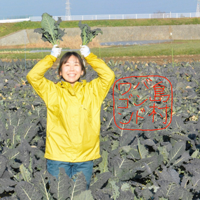 島村バンドワゴン
