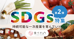 【期間限定】野菜定期便「食べチョクコンシェルジュ」でエコ包装が選択可能!生産者によるSDGsの取り組みも6つの特集でご紹介!