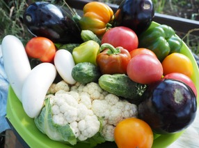 【旬を味わう】 夏の野菜特集 !