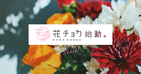 【花チョク始動】生産者直送のお花・観葉植物を販売開始