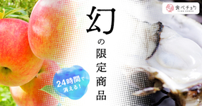 ※終了※【24時間限定!】幻の特別商品をご紹介。このページを見たあなたはラッキー♪
