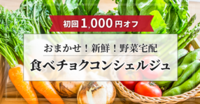 【初回1,000円オフ】新鮮なこだわり野菜をお届け!食べチョクの野菜宅配