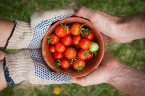 【レトルトや保存がきく食材特集】買い占めではなく、美味しく農家応援しませんか?