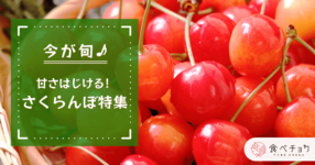 「さくらんぼ」シーズン解禁!山形県産の佐藤錦などを楽しむなら産直通販がおすすめ!