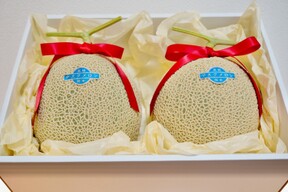 【父の日ギフト】特選マスクメロン (1.3kg×2玉・箱入り)