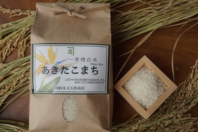 【値下げ60%OFF】【在庫処分セール】令和７年産秋田県湯沢市産あきたこまち一等 10kg　小野小町が愛した厳選米 白米 秋田美人 あきたこまち 高食味値 特A獲得 プレミアム