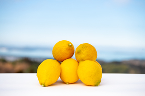 【令和8年大雪や雹によるレモン・柑橘被害支援プログラム300円寄付】溢れる果汁！！　完熟マイヤーレモン　たっぷり使える５キロ