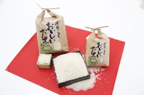 【令和7年新米】　精米５kg　コシヒカリ　淡路島産