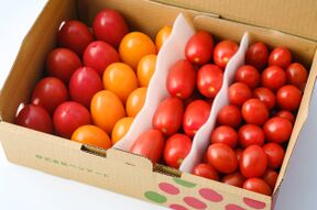 イタリアントマト４種詰合せ　（内容お任せ　合計2kg）【トマト食べ比べ】