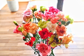 《農林大臣賞受賞！》新鮮カーネーション　厳選20本セット💐