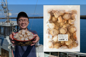 【BBQに】青森県産　蒸しホタテ　１kg約６０粒前後