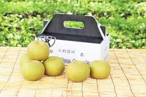 ＜2025年先行予約＞濃厚な甘さと瑞々しさが絶賛の「幸水」6個～4個程度（2㎏程度）