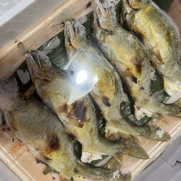 今が旬 夏季限定 カンタン便利 あゆの塩焼き ７尾入 びわ湖産鮎育成 滋賀県産 食べチョク 農家 漁師の産直ネット通販 旬の食材を生産者直送