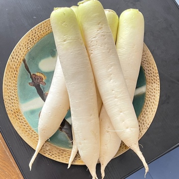 長野県南端 阿南町の伝統野菜 鈴ヶ沢ナス 長野県産 食べチョク 農家 漁師の産直ネット通販 旬の食材を生産者直送