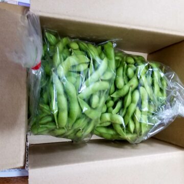 短納期対応 地域食材大百科 第２巻 欠品カラー再入荷 Www Iacymperu Org