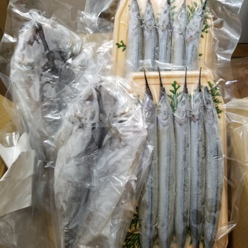 新物 食べたらやみつき さよりのゴロ干し 丸干し 千葉県産 食べチョク 農家 漁師の産直ネット通販 旬の食材を生産者直送 新物 食べたらやみつき さよりのゴロ干し 丸干し 千葉県産 食べチョク 農家 漁師の産直ネット通販 旬の食材を生産者直送