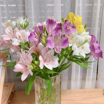 １本にたくさんの花が咲く アルストロメリアの花束 15本程度 長野県産 食べチョク 農家 漁師の産直ネット通販 旬の食材を生産者直送