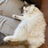 ひーちゃん さんのサムネイル