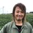 石山製茶工場 さんのサムネイル