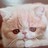 千葉のご隠居 さんのサムネイル